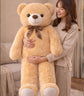 Grand Hug Teddy Bear