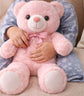 Sweet Pink Teddy Bear
